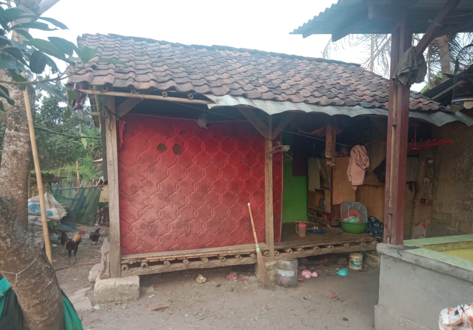 IMG 20250809 150141