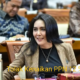 IMG 20241225 131446