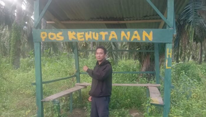 Serikat Petani Pasangkayu Bersurat ke Presiden Minta Audiensi Soal Mafia Tanah