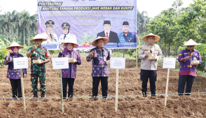 Wabup Tangerang Berikan Bantuan Sarana Produksi ke Kelompok Tani