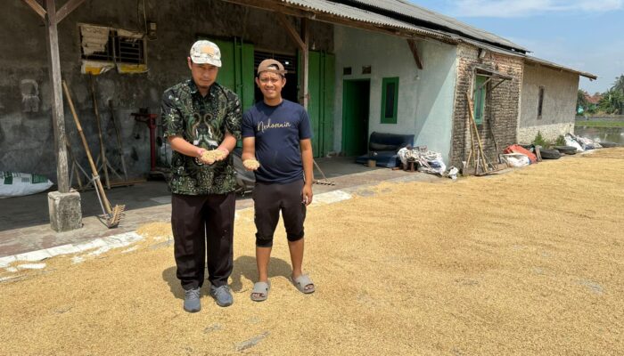 Bulog Tangerang Tuntaskan Target ke-3 kalinya untuk Penyerapan Gabah Petani