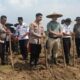 Tingkatkan Ketahanan Pangan, Kapolsek Bersama Forkopimcam Cisoka Solear Tanam Jagung Serentak
